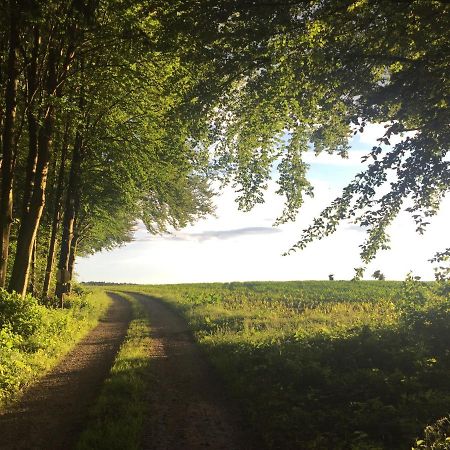 Ferienwohnung Pagel Riedenburg Exteriör bild